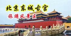 内射视频啊啊啊啊啊啊中国北京-东城古宫旅游风景区